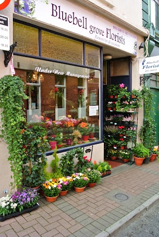 Bluebell Florists