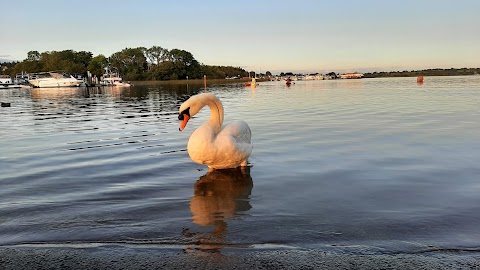 Lough Ree Park Walking Trail