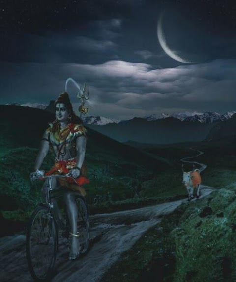 Веломастерская Mahadev