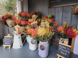 Ducks Landing Flower Farm