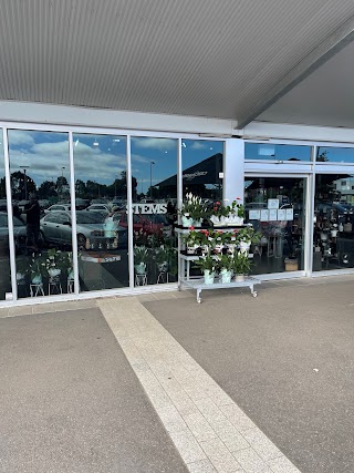 Stems Flower Market