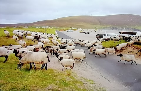 Calveys Butchers Achill