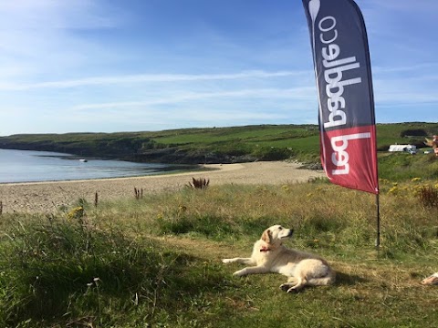 Summer SUP & Kayak School Cork