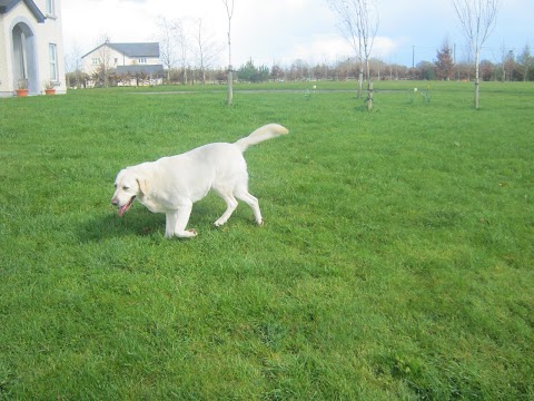 Jenkinstown Boarding Kennels