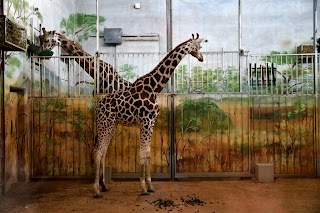 Ogród zoologiczny w Zamościu im. Stefana Milera