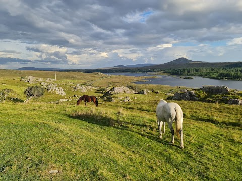 Ben Lettery Connemara Hostel