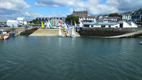 Whale Watch West Cork