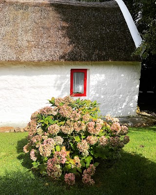 Cottage Mary Rose