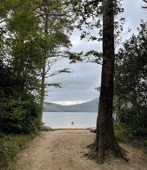 Muckross Lake Boat Tours