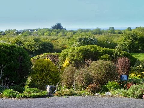 Dolmen Lodge at the Heart of the Burren