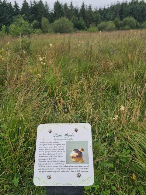 Lough Doire Bhile