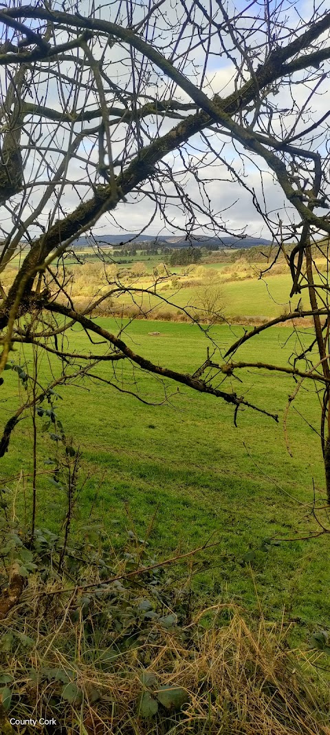 Kilfinane Outdoor Education & Training Centre