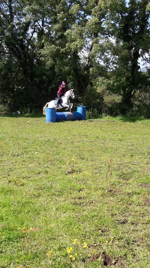 Ballyhoura Horsetrails