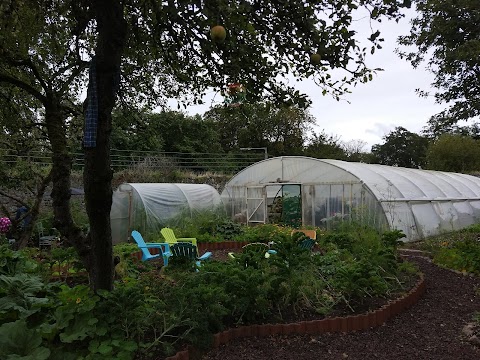 Birr Community Growery