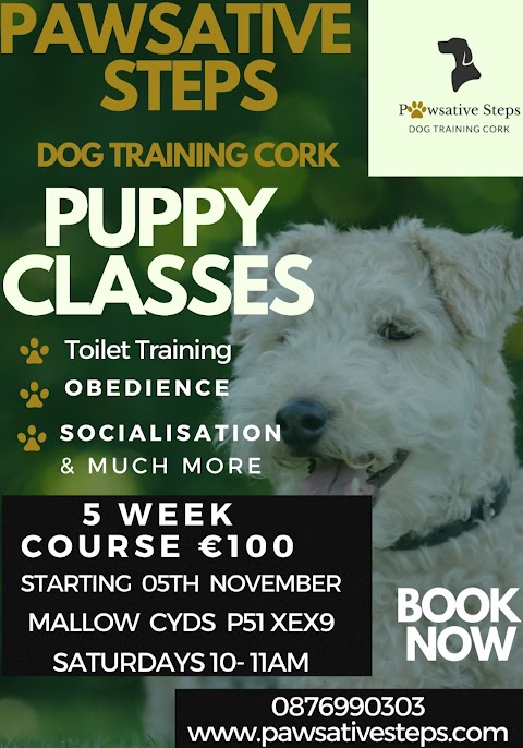 Pawsative Steps Dog training cork