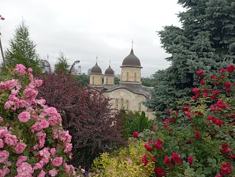 Михайлівський Звіринецький монастир