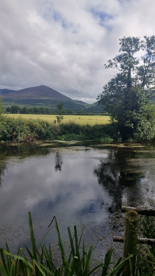 Ballyboy House