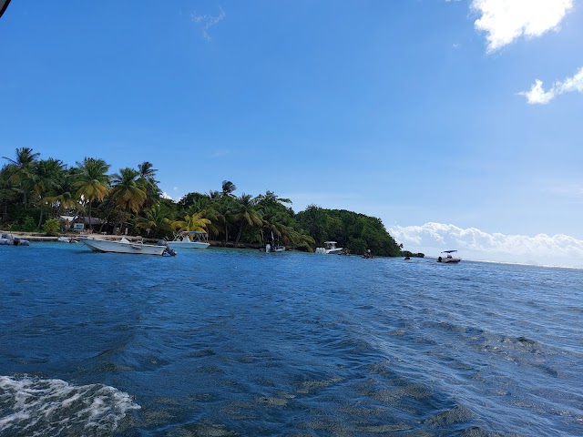 Îlet du Gosier Restaurant