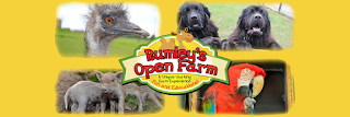 Rumley's Open Farm