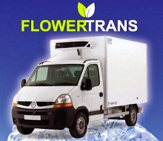 Flower-Trans