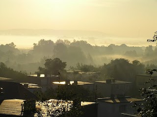 Zajęcia dla dzieci, młodzieży oraz dorosłych - Gdynia, Sopot, Gdańsk, Reda, Rumia, Wejherowo