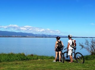 Cycle Remutaka