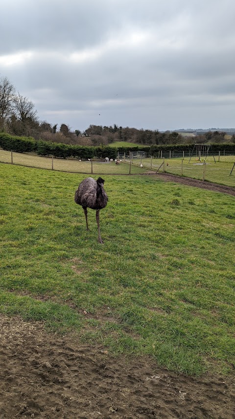 Graune Pet Farm And Play Centre