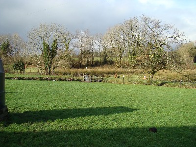 The Good Life Boarding Kennels