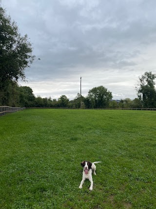 Mullingar Dog Park