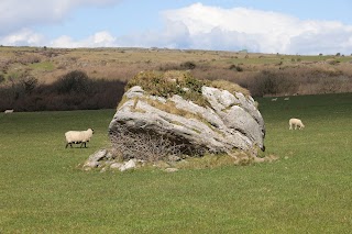 St. Kevin's Stump - Father Ted Filming Location