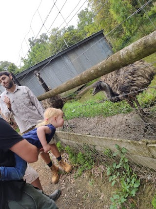 Yarra Valley Nocturnal Zoo