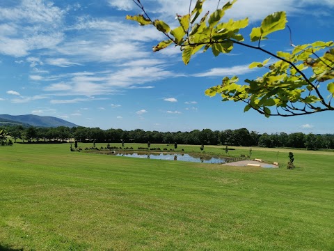 Drishane Castle