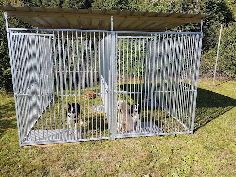 Little and large dog boarding kennels