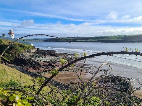 Youghal Eco Boardwalk