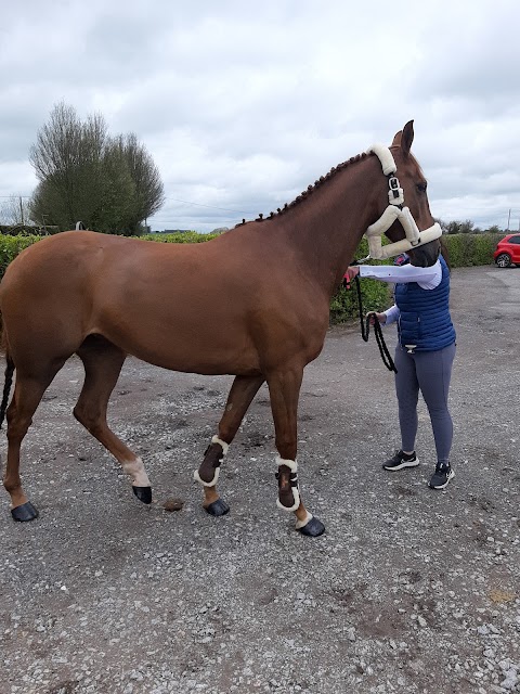 Lucky Meadows Equestrian Centre