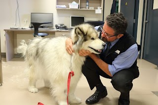 Port Adelaide Veterinary Clinic & Cattery