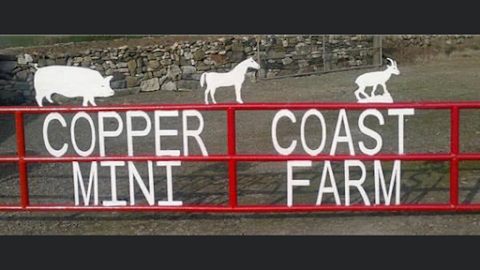 Copper Coast Mini Farm