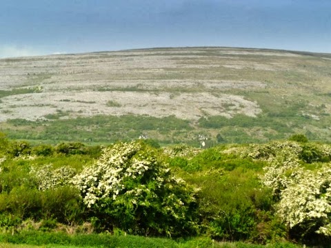 Dolmen Lodge at the Heart of the Burren