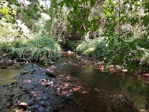 glansheskin meander