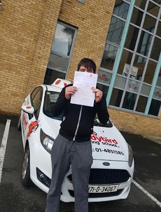 Ladybird Driving School Portarlington