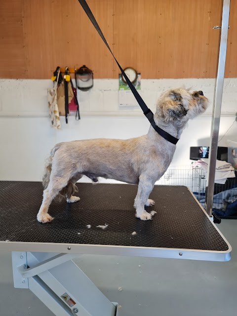 Dog Grooming Midleton Rose & Silk