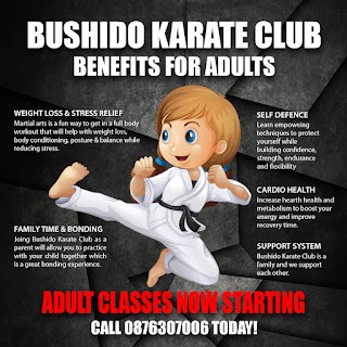 Bushido Karate Club Glanmire