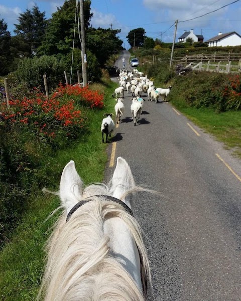 Dingle Horse Riding