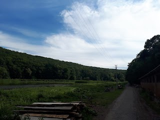 Дитячий оздоровчий табір "Промінь"