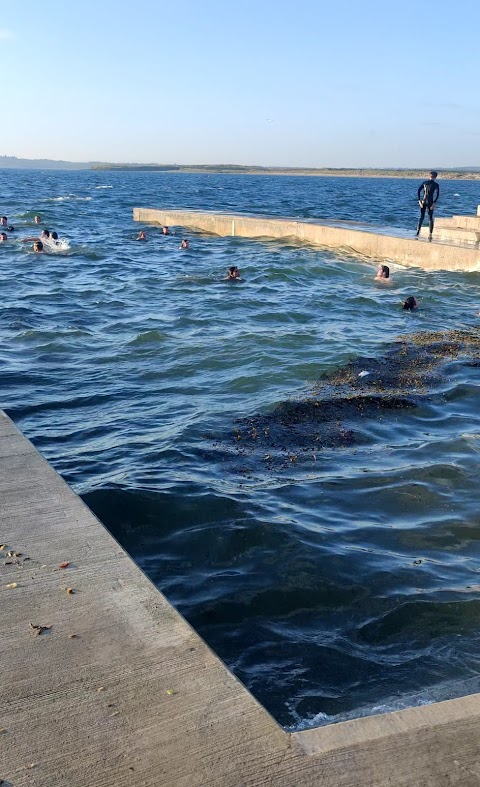 Natural Swimming pool