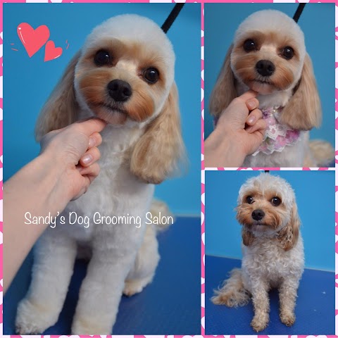 Sandy’s Dog Grooming Salon