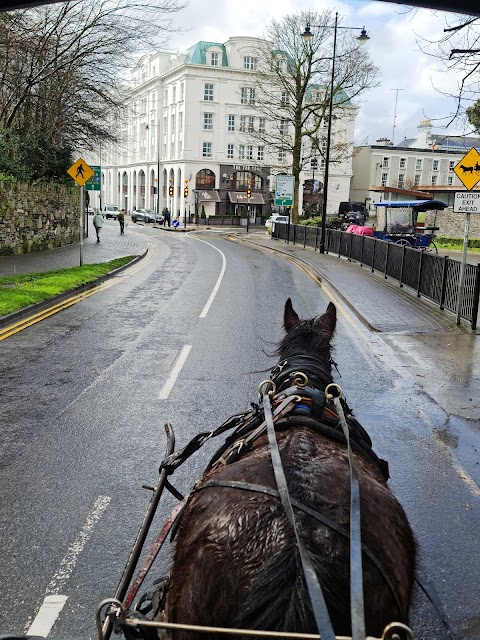 Killarney Horse and Carriage Tours