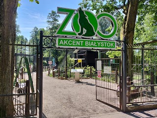 Akcent ZOO