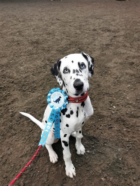 Muddy Paws Dog Training