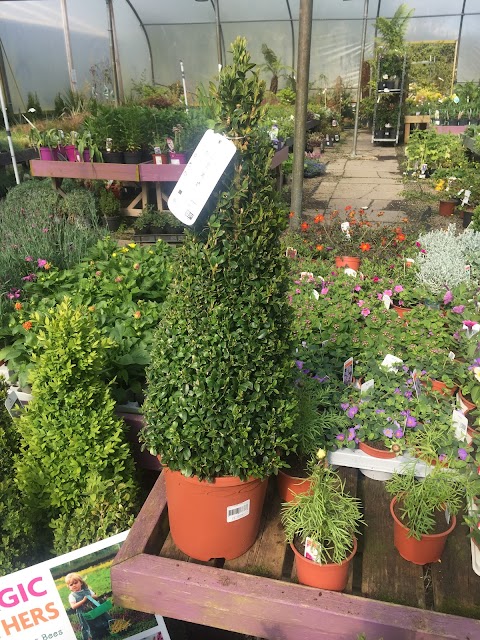 Busy Bee Garden Centre & Tea Rooms